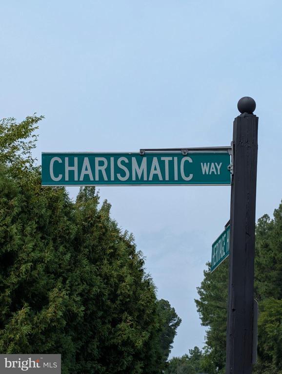 Building Photo - 13784 Charismatic Way