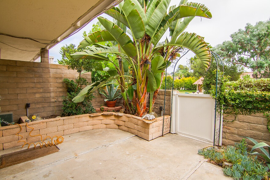 Downstairs private patio with beautiful giant bird of paradise. - 2838 Luciernaga St