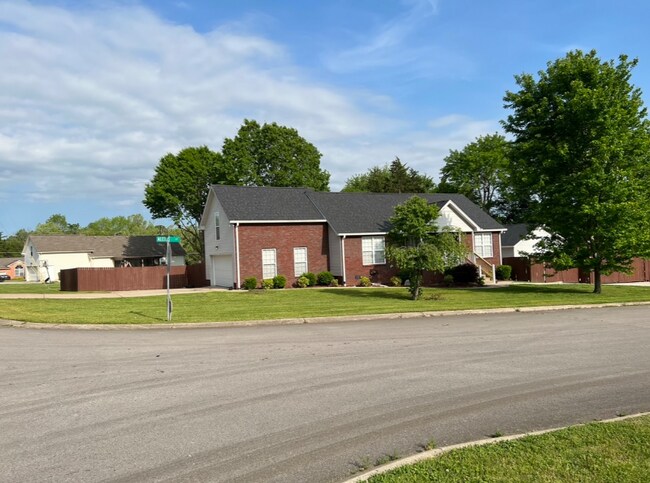 Building Photo - 305 Alexis St