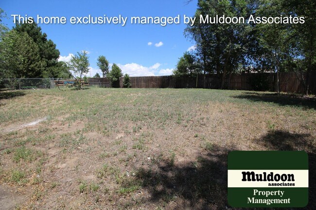 Building Photo - Lots Of New In this Home!!