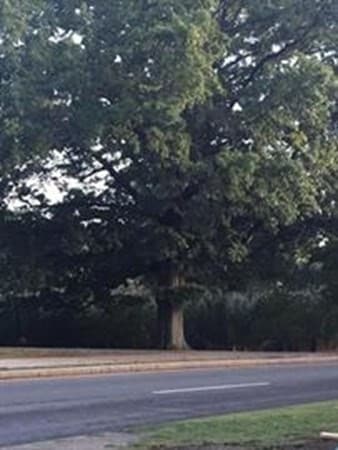 Building Photo - 51 Park Dr