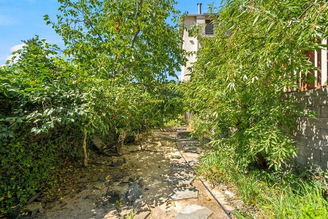 Building Photo - Sun-Drenched Lakeshore Living