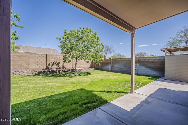 Building Photo - 11344 E Contessa St