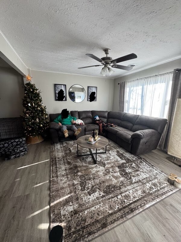 Living Room - 103 Marchmont Dr