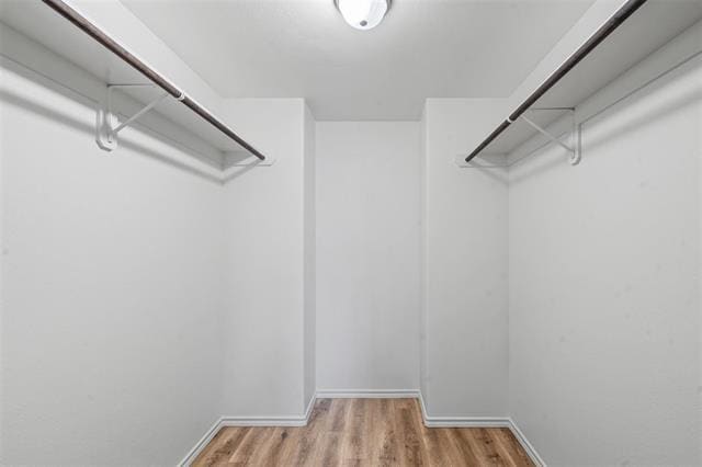 Building Photo - 105 Abbey Park Ct