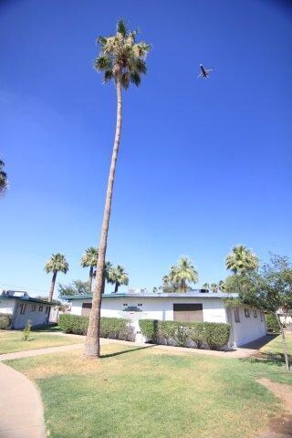 Building Photo - 14 Palms Apartments