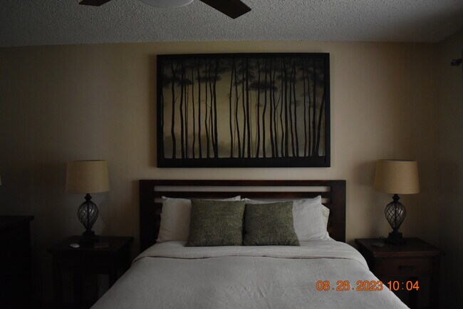 Master Bedroom (Queen) - 3126 Station Ct