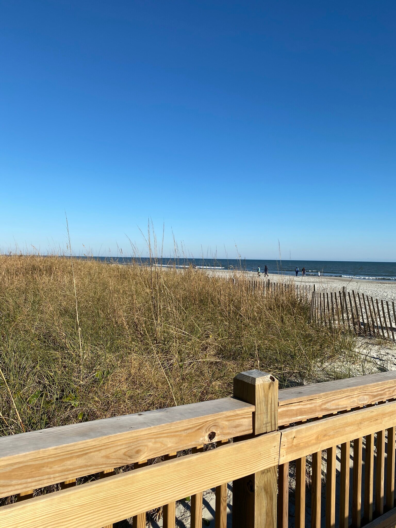 Building Photo - 7403 N Ocean Blvd