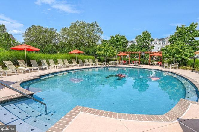 Pool - 24660 Woolly Mammoth Ter