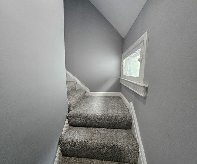 Building Photo - 539 Marie Ave