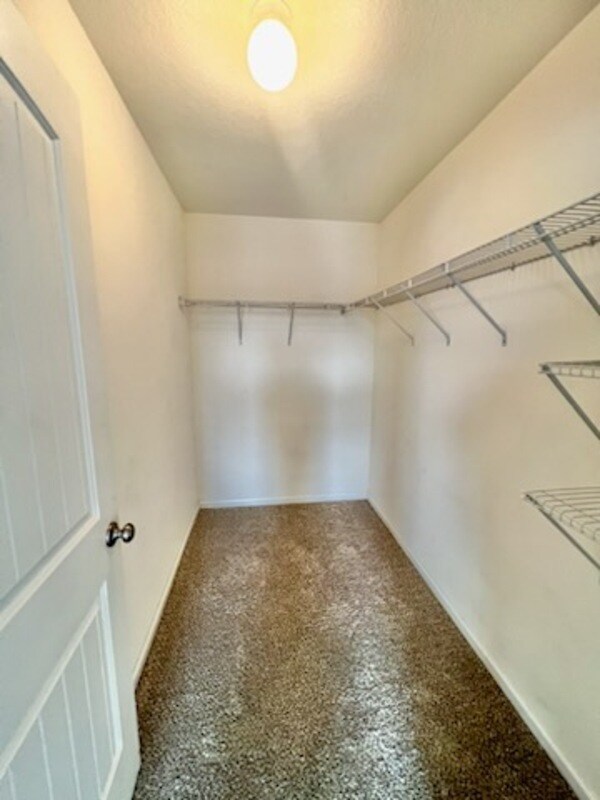 Building Photo - 4703 Windsor Park Ln