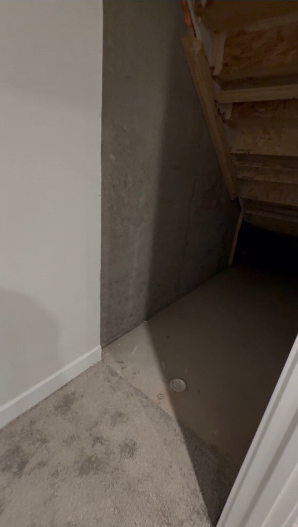 Building Photo - 310 Helenium Dr