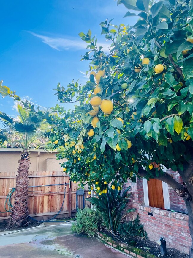 Building Photo - Beautiful Mid Century 3 Bedroom 3.5 Bathro...