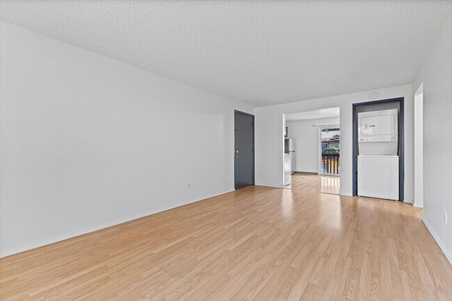 Interior Photo - Cascade Firs