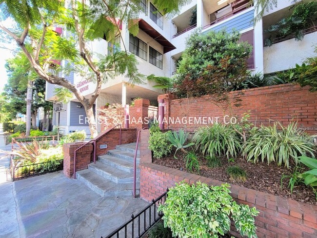 Primary Photo - Beautiful and Modern 1 Bedroom + Loft Cond...