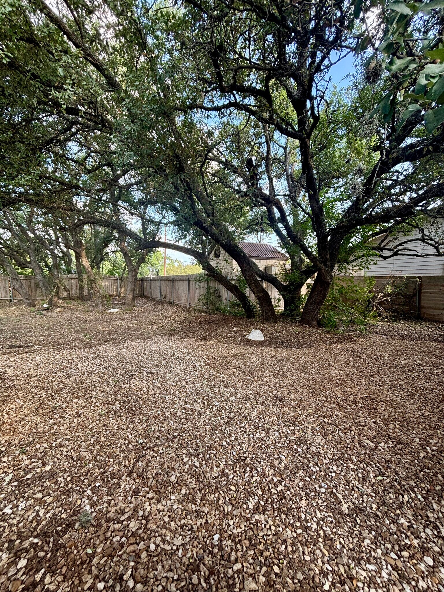 Mature trees throughout the property - 7810 Copperas Dr