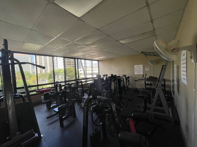 Building Photo - Waikiki, Pet Friendly. Central AC