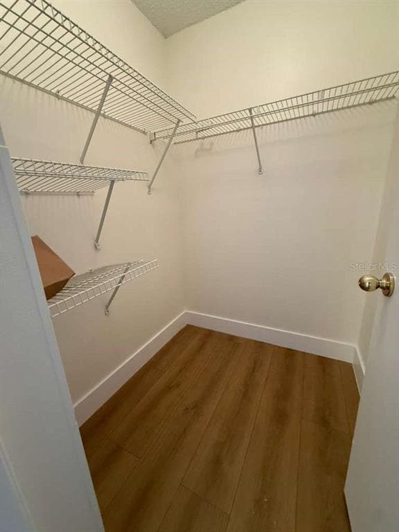 Building Photo - 1242 Lucaya Cir