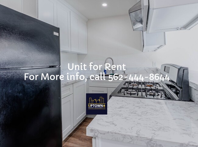 Building Photo - 207-Breed