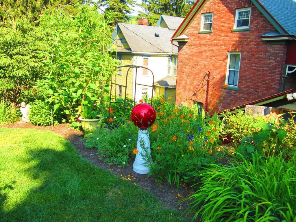 View of backyard - 227 E Lamb St