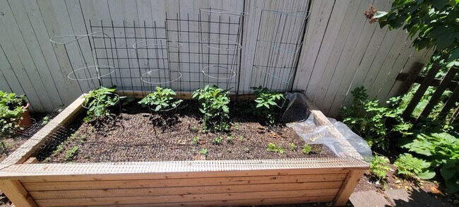 Building Photo - 505 N 16th Ave E