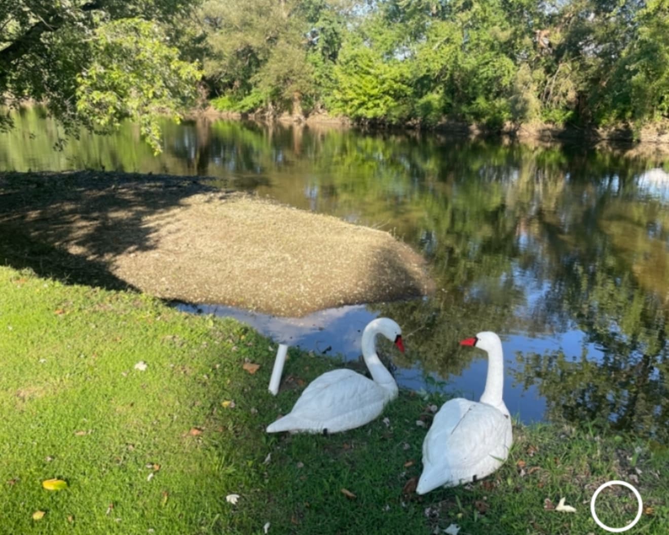 Own private beach on French creek to kayak or fish - 20986 US-6