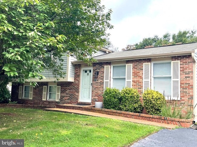 Building Photo - 3006 Summershade Ct