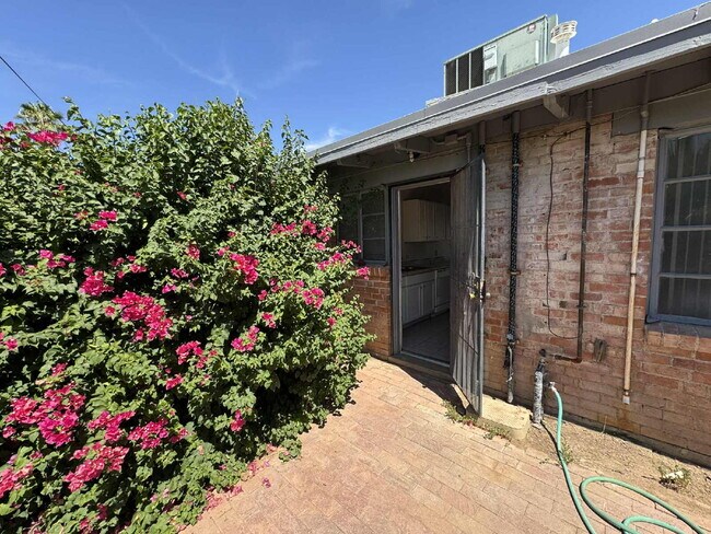Building Photo - 1 Bedroom with private yard