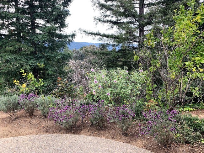 Building Photo - Coming Soon! Beautiful Gated Community in ...