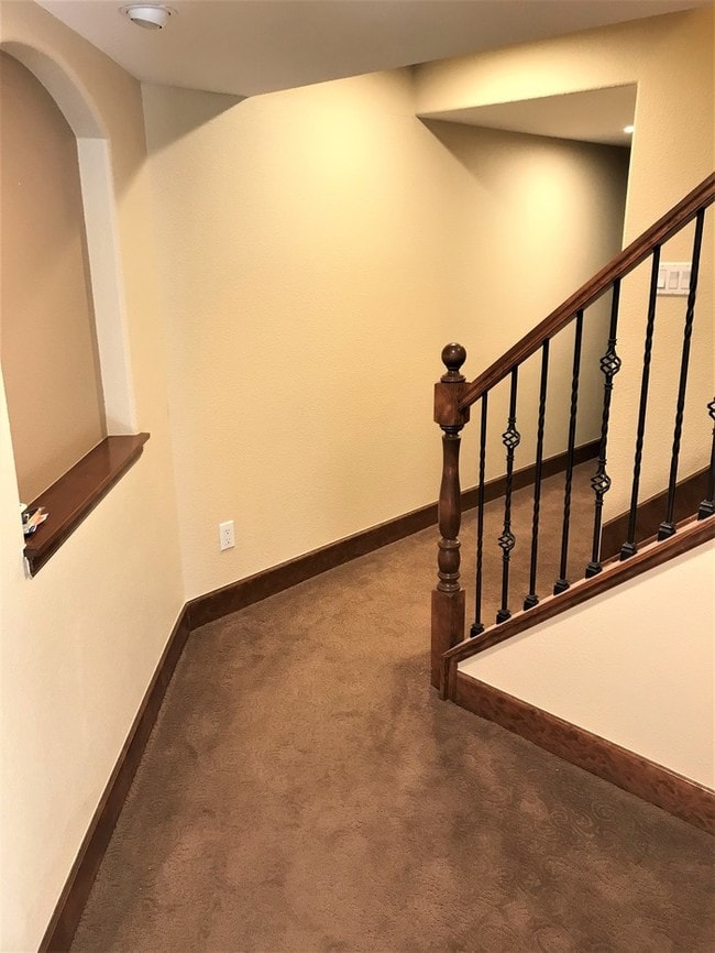 Building Photo - Lovely Basement Apartment in Highlands Ranch