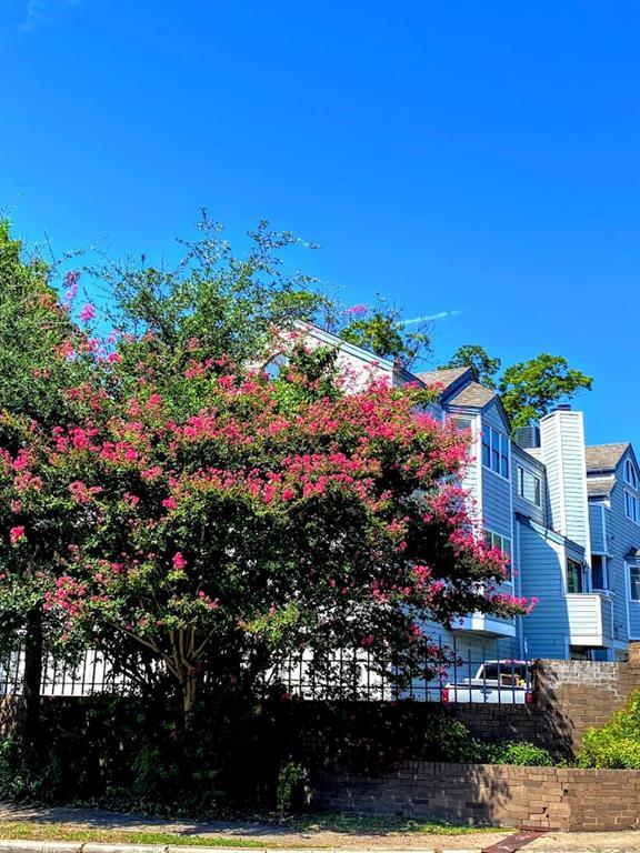 Building Photo - 1808 Rio Grande St