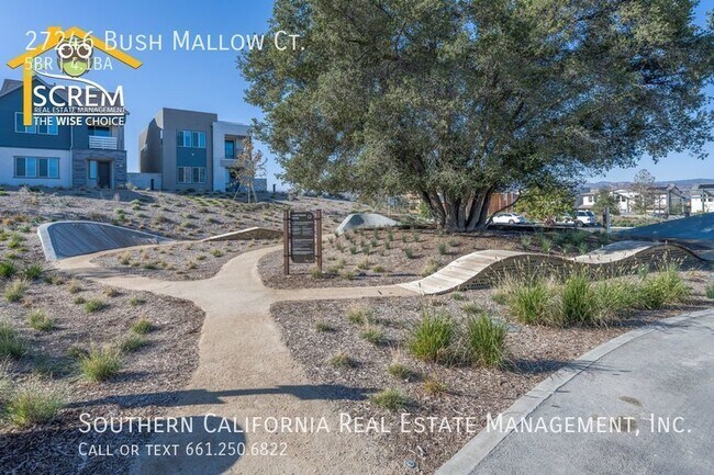 Building Photo - 27246 W Bush Mallow Ct