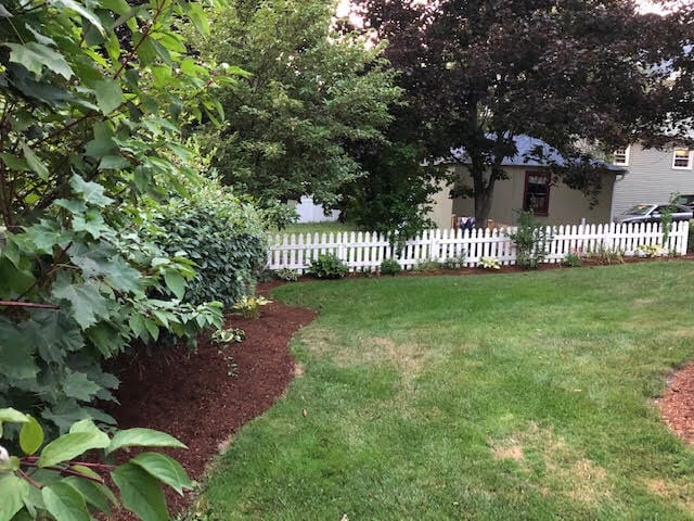 Peaceful garden area - 91 Maple St