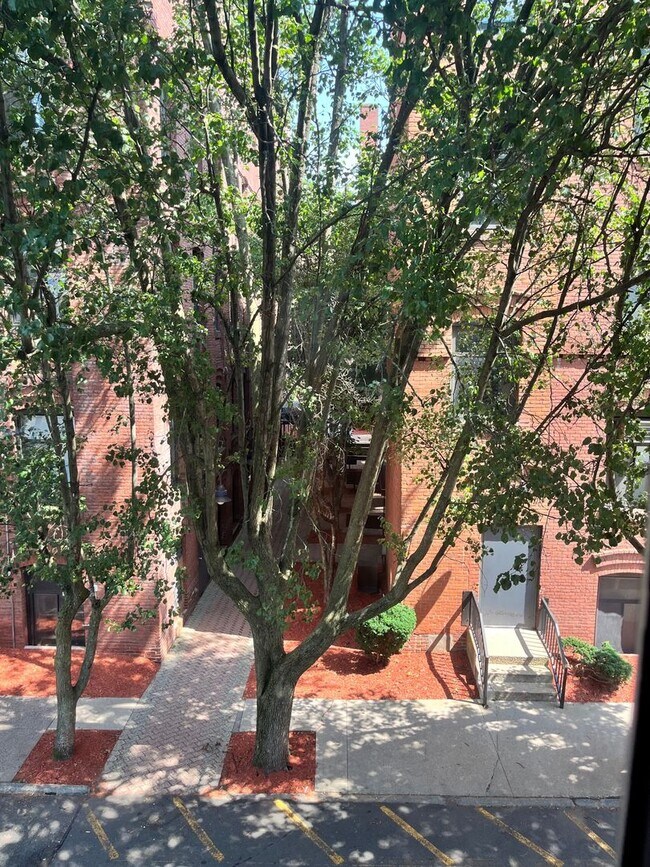 Building Photo - Leasing Agent