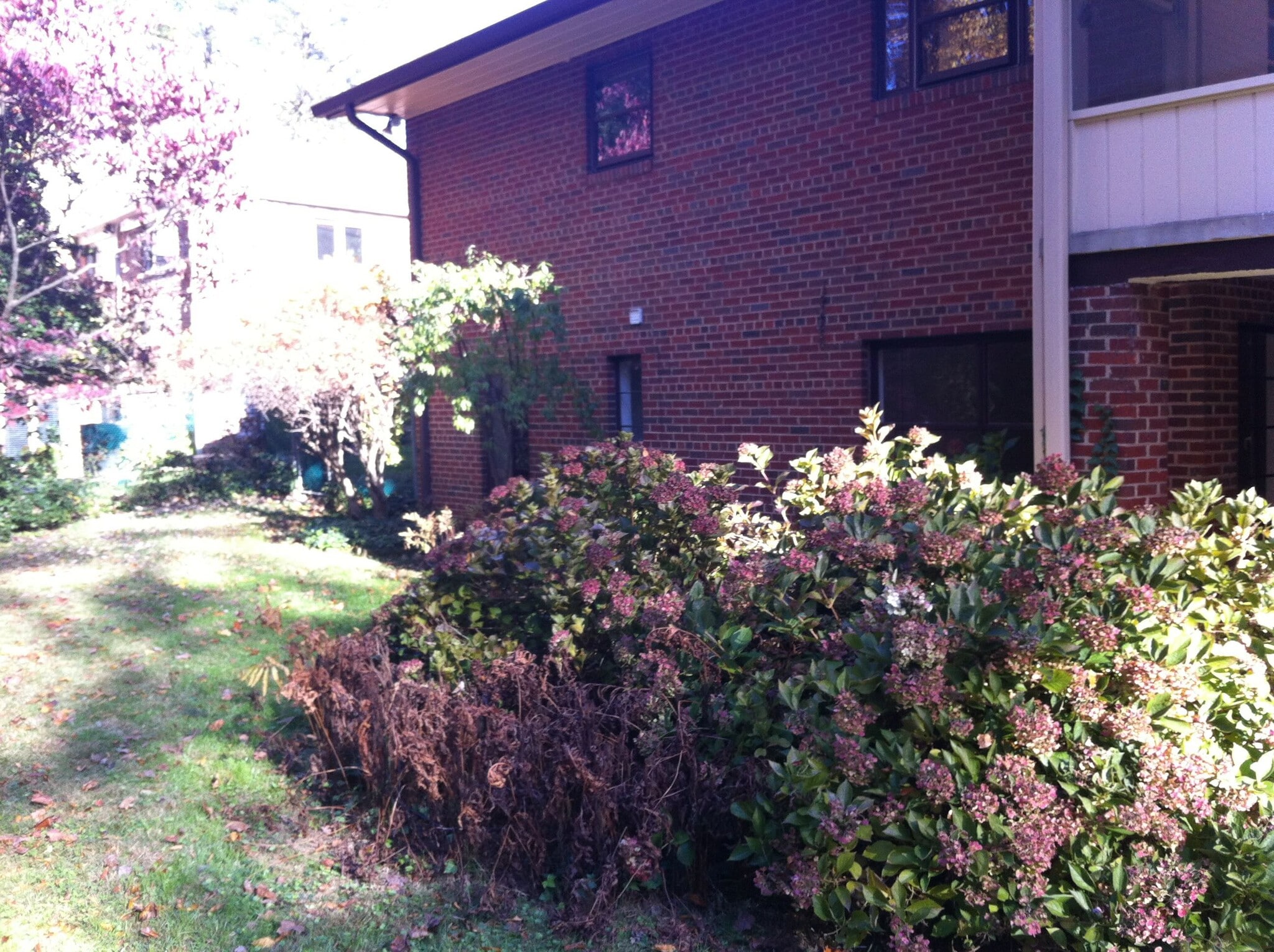 Building Photo - 3130 Juniper Ln