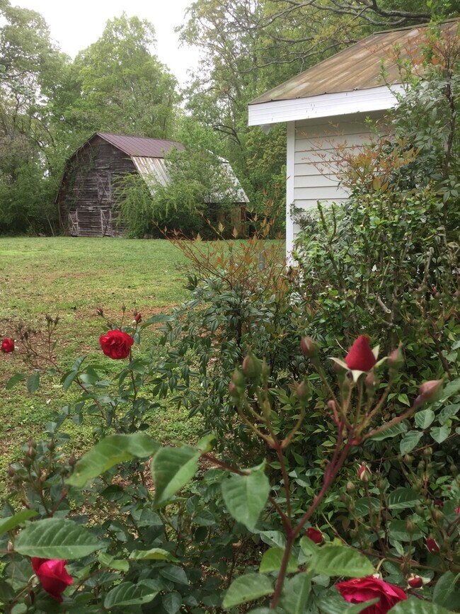 Building Photo - Country House on 1 Acre