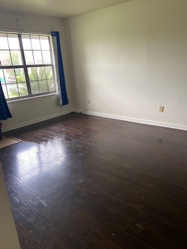Building Photo - Nature in the Heart of the City: Live Near Moncus Park-2 BED 1 BATH