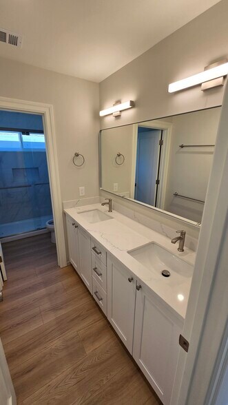 Back Bathroom - 740 Locust St
