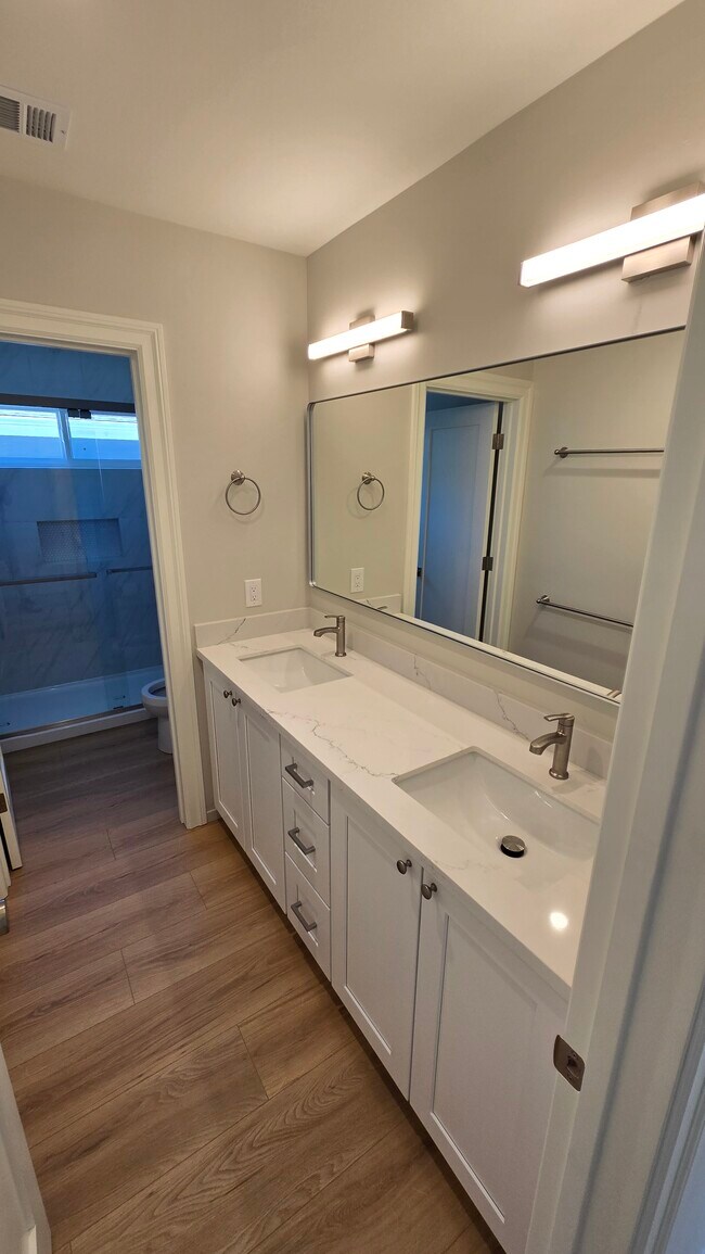 Back Bathroom - 740 Locust St