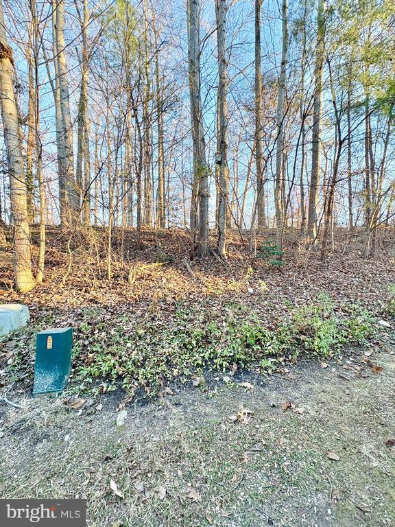 Building Photo - 8263 Burning Forest Ct