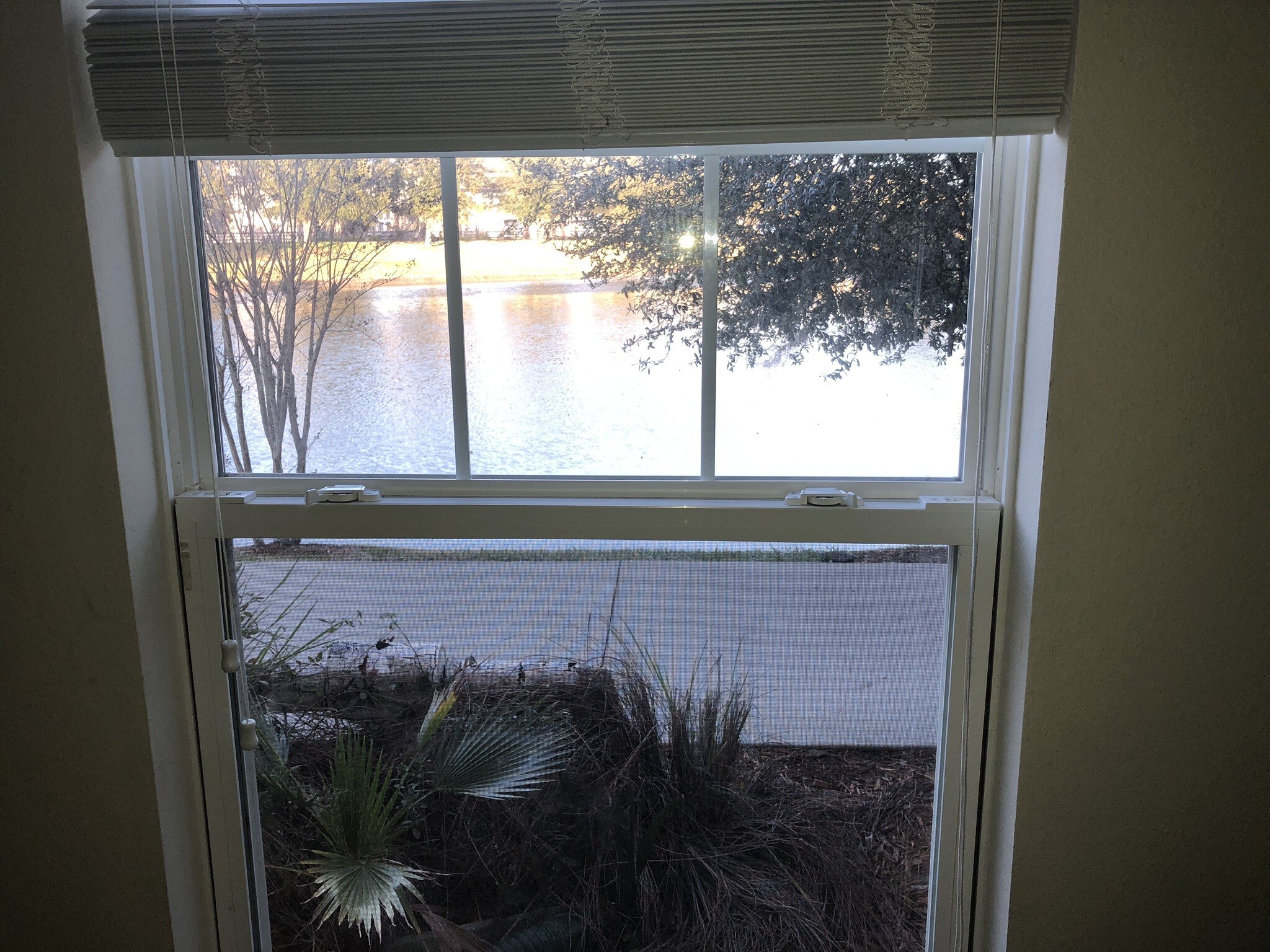 Building Photo - 4917 Key Lime Dr