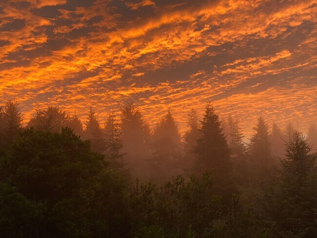 Building Photo - Amazing Bay View 3 bed/3 bath in Coos Bay