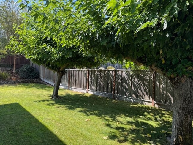 Building Photo - 4 bedroom Moraga home is now available for...