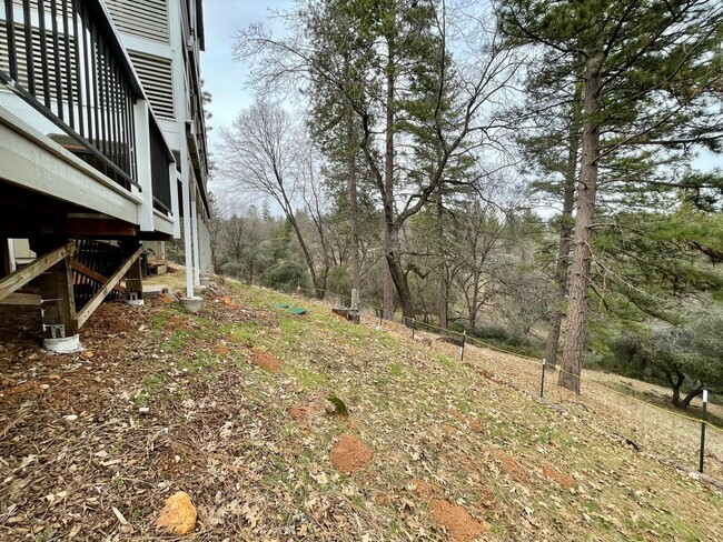Building Photo - Charming Alta Sierra Home