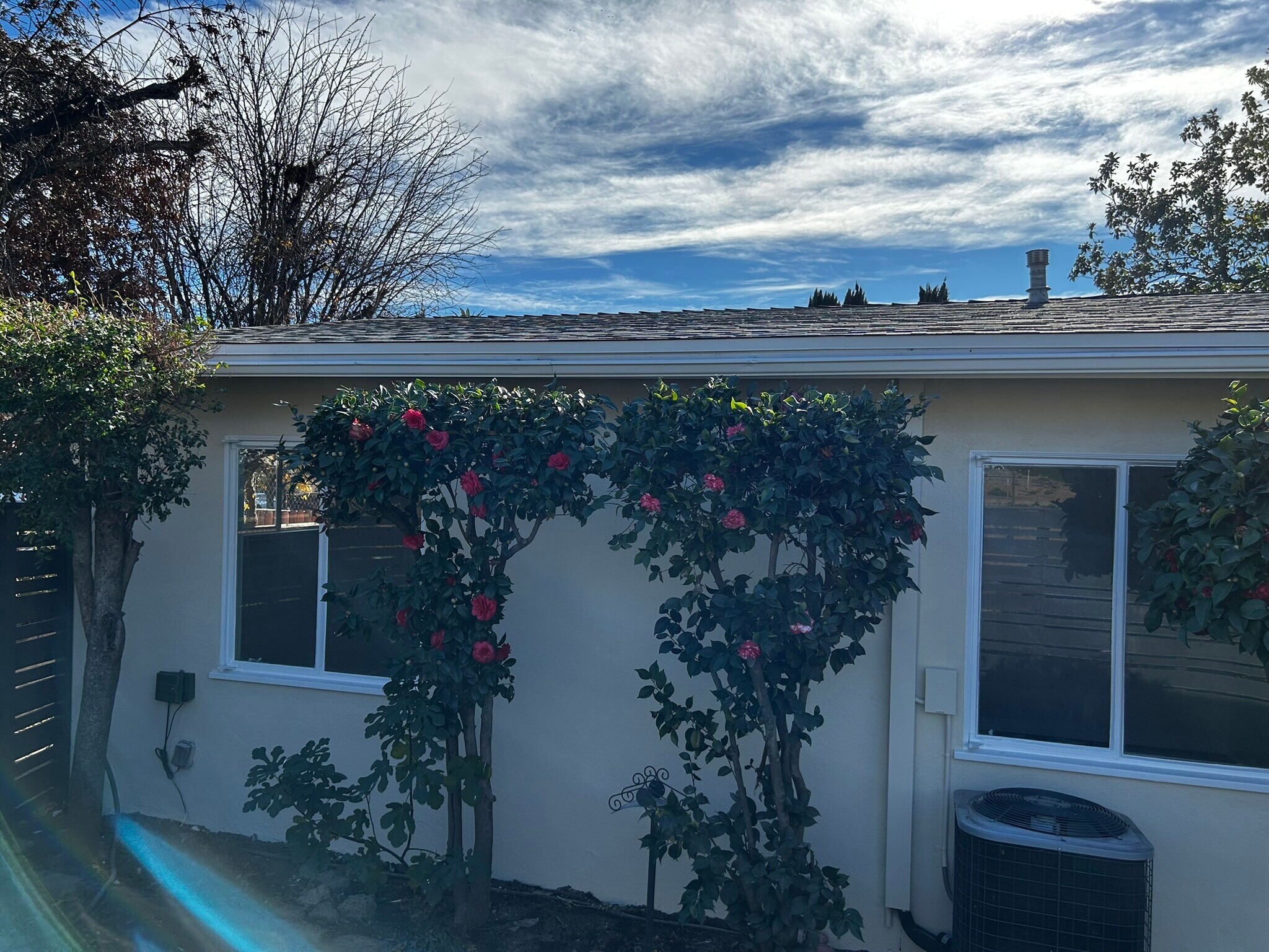 Back yard - 819 Morada Pl