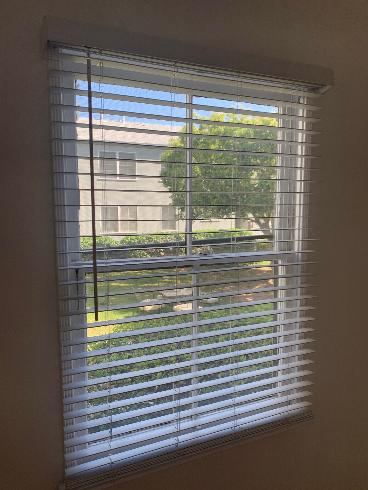 Window dining area - 1250 Franklin St