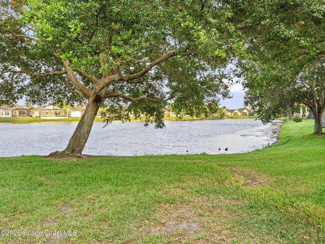 Building Photo - 1665 Ficus Point Dr