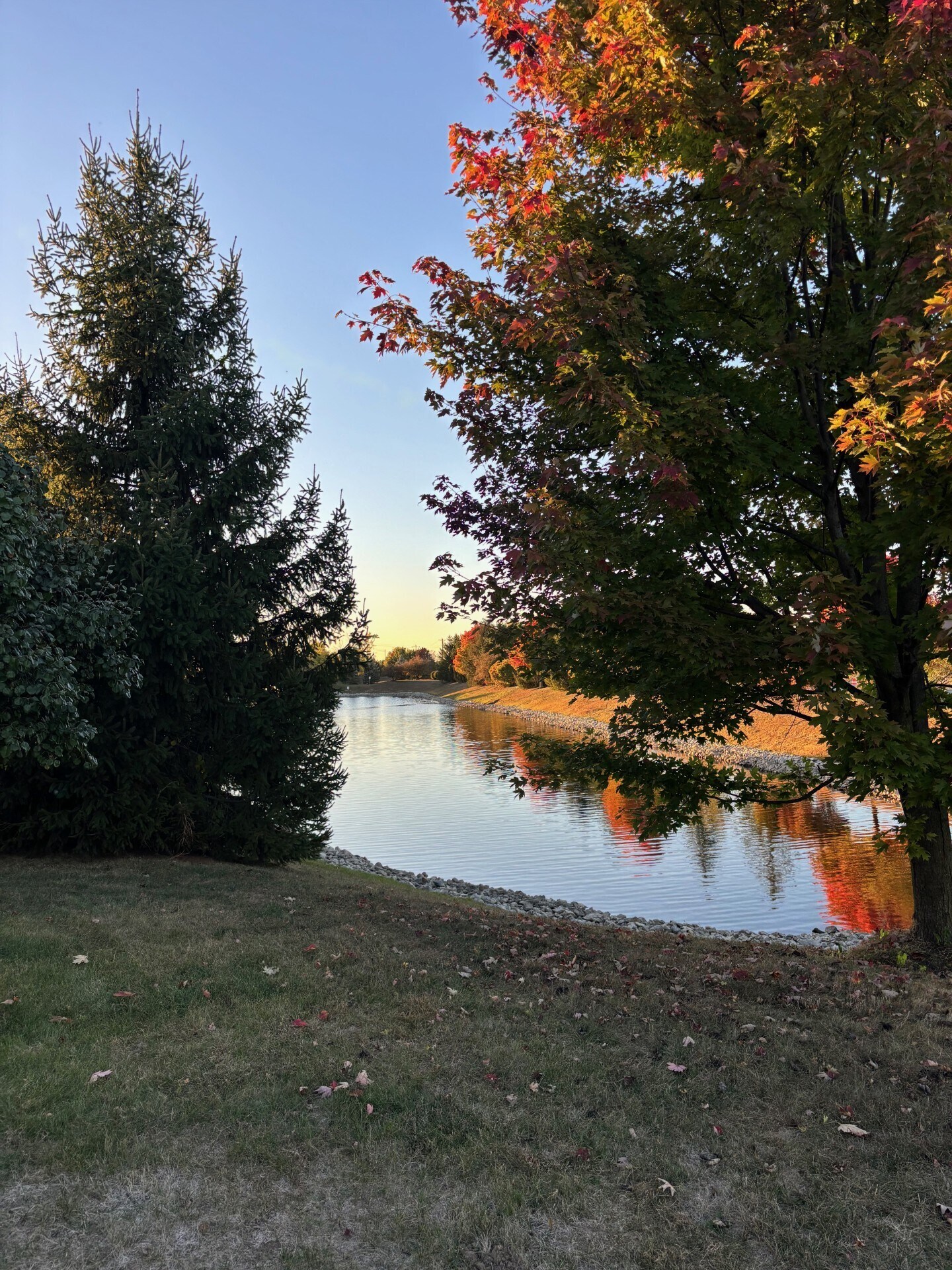 Pond view from yard - 11266 Black Gold Dr