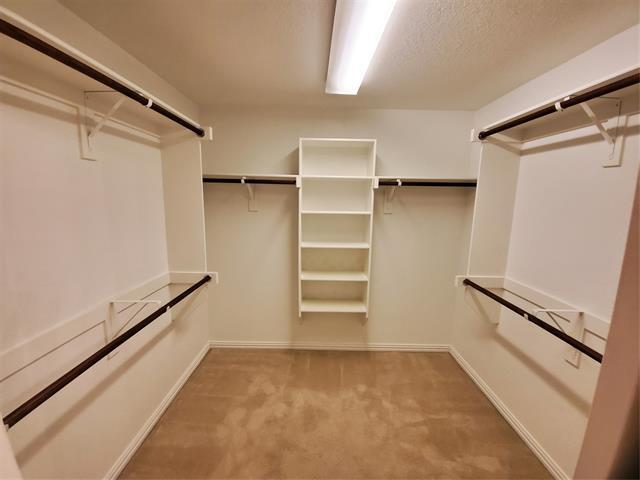 Building Photo - 12113 Durango Root Dr