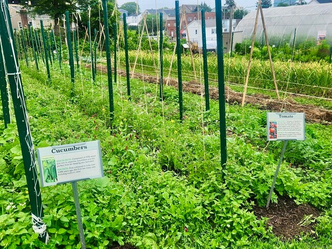 Building Photo - 54 Fairgate Dr